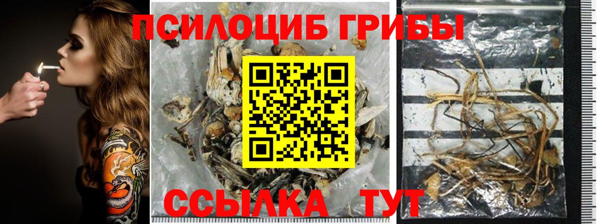 Будённовск  Галлюциногенные грибы ЛСД  Псилоцибиновые грибы GOLDEN TEACHER  Вход с VPN 